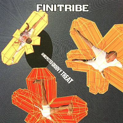 Finitribe - Unexpected Groovy Treat