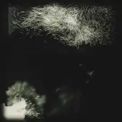 Fink - Fall Into The Light/Pilgrim