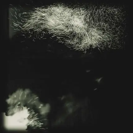 Fink - Fall Into The Light/Pilgrim