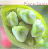 Double LP - Fiona Apple - Extraordinary Machine