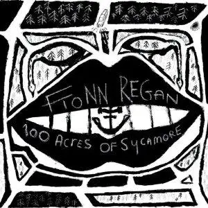 Fionn Regan - 100 Acres of Sycamore