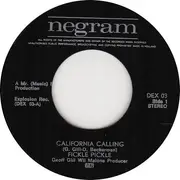 7inch Vinyl Single - Fickle Pickle - California Calling