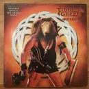 CD - Fiddler's Green - Folk Raider - Promo in cardsleeve