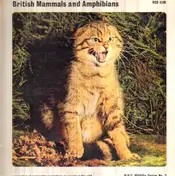 Field Recording - British Mammals and Amphibians