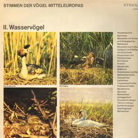 Field Recording - Stimmen der Vögel Mitteleuropas - II. Wasservögel