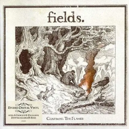 FIELDS - CHARMING THE FLAMES