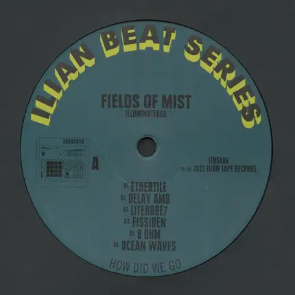 Fields Of Mist - Illuminated60