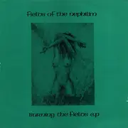 12inch Vinyl Single - Fields Of The Nephilim - Burning The Fields EP