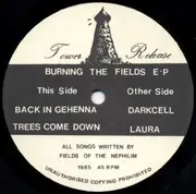 12inch Vinyl Single - Fields Of The Nephilim - Burning The Fields EP