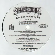 12inch Vinyl Single - Fieldy's Dreams - Are You Talkin To Me - Promo