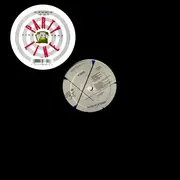 12inch Vinyl Single - Fifth Platoon - The Partyline