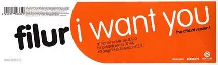 Filur - I Want You
