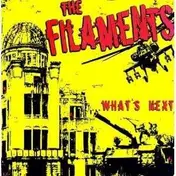 The Filaments - What's Next