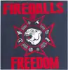 7inch Vinyl Single - Fireballs Of Freedom - Viva El Gato