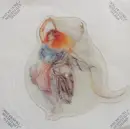 Picture LP - Fish - A Gentleman's Excuse Me - shaped picture 7'