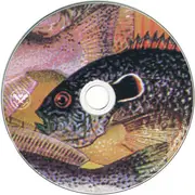 CD - Fish Karma - The Theory of Intelligent Design