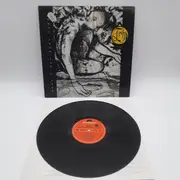 LP - Fish - Songs From The Mirror - First UK Press on Polydor