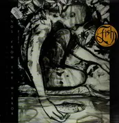 LP - Fish - Songs From The Mirror - First UK Press on Polydor