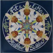 the fit - AS ABOVE SO BELOW