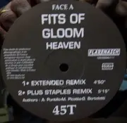12inch Vinyl Single - Fits Of Gloom - Heaven
