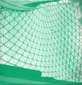 five green circle - Growing Shapes EP