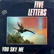 12inch Vinyl Single - Five Letters - You Sky Me