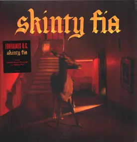 Fontaines D.C. - Skinty Fia