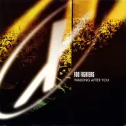 Foo Fighters / Ween - Walking After You
