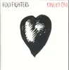 Double LP & MP3 - Foo Fighters - One BY One - 2 LP's -  MP3 Album Download