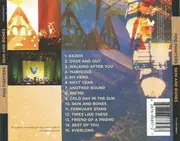 CD - Foo Fighters - Skin And Bones