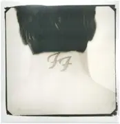Double LP - Foo Fighters - There Is Nothing Left To Lose