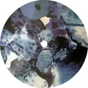 LP - Foals - Total Life Forever