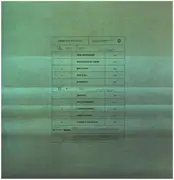 LP - Foals - What Went Down - 180g.