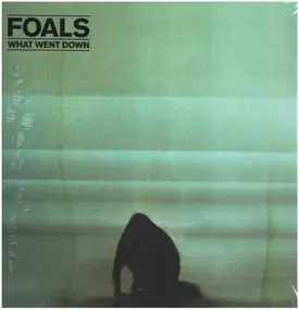 Foals - What Went Down