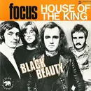 7inch Vinyl Single - Focus - House Of The King