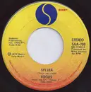 7inch Vinyl Single - Focus - Sylvia / Love Remembered
