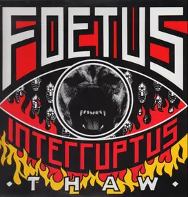 Foetus Interruptus - Thaw