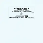 Foggy - Take The Future / Come...(Into My Dream) Remix