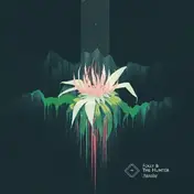Folly & the Hunter - Awake