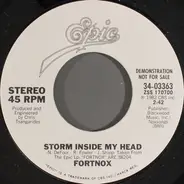 Fortnox - Storm Inside My Head