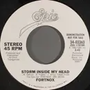 7inch Vinyl Single - Fortnox - Storm Inside My Head