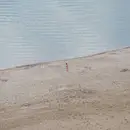 LP - Fortunato Durutti Marinetti - Eight Waves In Search Of An Ocean