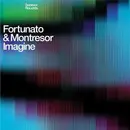 12inch Vinyl Single - Fortunato & Montresor - Imagine
