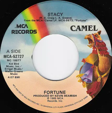 Fortune - Stacy