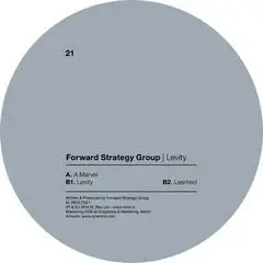 Forward Strategy Group - Levity