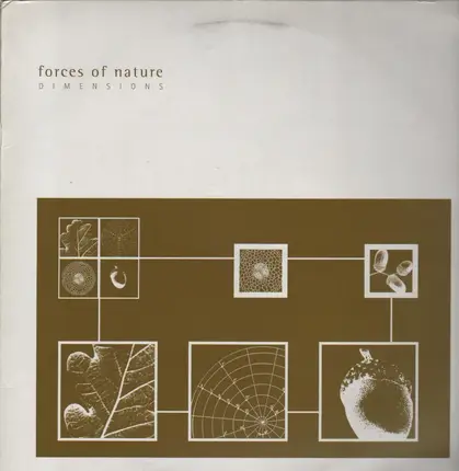 Forces Of Nature - Dimensions