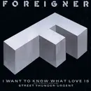 12inch Vinyl Single - Foreigner - I Want To Know What Love Is (Extended Version)