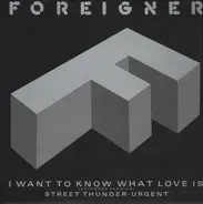 Foreigner - I Want To Know What Love Is