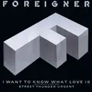 12inch Vinyl Single - Foreigner - I Want To Know What Love Is (Extended Version)