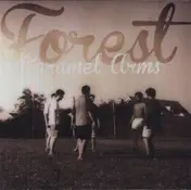 forest - Caramel Arms